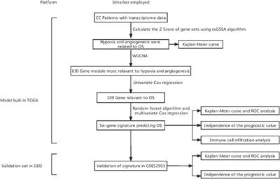 Construction of a Six-Gene Prognostic Risk Model Related to Hypoxia and Angiogenesis for Cervical Cancer